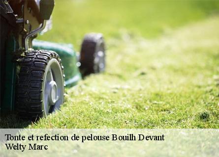 tonte-et-refection-de-pelouse