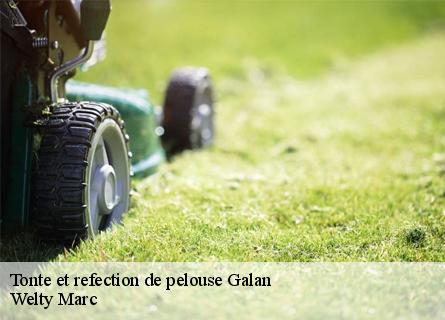 tonte-et-refection-de-pelouse