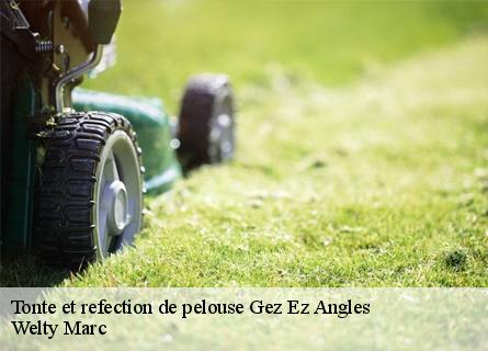 tonte-et-refection-de-pelouse