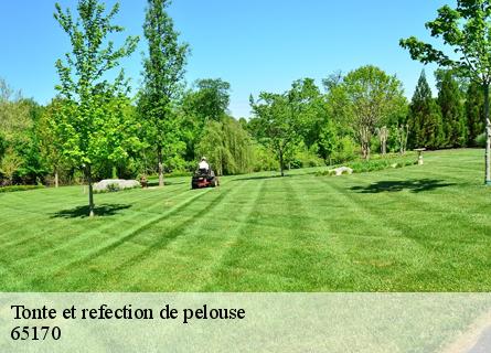 tonte-et-refection-de-pelouse