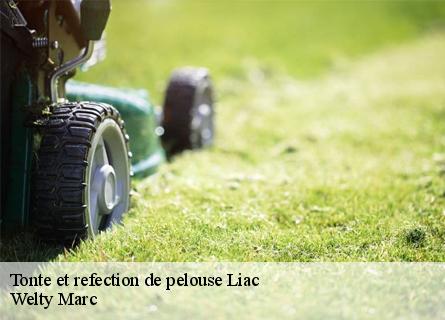 tonte-et-refection-de-pelouse