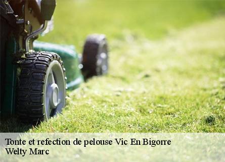 tonte-et-refection-de-pelouse