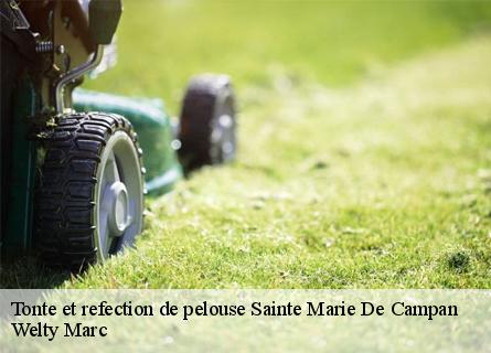 tonte-et-refection-de-pelouse